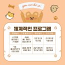 공독 | 강아지유치원 소심반 켈리독 후기 호텔 비용도 저렴해