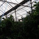 현주네농장 이미지