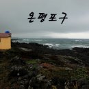 온평리-8 이미지