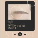 아티스트 비에스 복수점