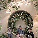 사파동132 이미지