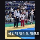 봄날태권도 | 강남 크로스핏 용인대 헬리오 태권도 높은 평점과 다양한 프로그램 눈길