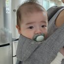 샘이찬 이미지