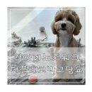 더플래 - 1042 | 강아지 노즈워크 장난감 더플래 코박고 담요 대형 디럭스 솔직한 후기
