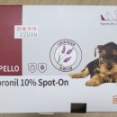 사계절약국 이미지