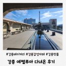 카페 루아 | 강릉 에펠루아 감성 카페 다녀온 후기