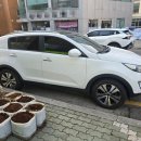 남매로R | 2013년식 스포티지R 중고차수출 시세 빠르게 확인