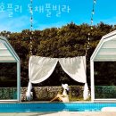 호플리 이미지