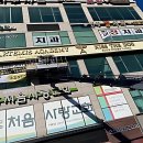 댕댕이미용 | 드디어 발 담그는 댕댕이 미용의 세계!