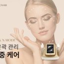디피엘 이미지