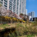 파파독서논술교습소