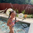 스테이밀봄숲 이미지