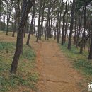 수원올림픽공원 인근 이미지