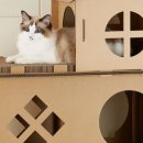 펫프랜즈 이미지