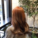 hair봄 이미지