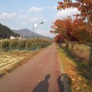 황금약수탕 이미지