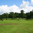 케이렌트카(주) 이미지