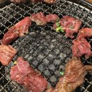 마루한트래블주 | 일본 오사카 6월 2박 3일 자유여행 일정 + 당일치기 교토여행 포함