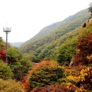 소요산 Daum카페