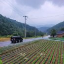 새봄농장(3) 이미지