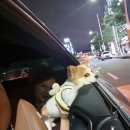 짚봉 통닭