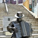 아코디언 켜는 사람 이미지