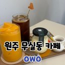 부엉이근린공원화장실 | 원주 무실동 owo 카페 푸딩 내돈내산 후기