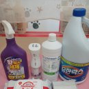 깔끔하개 이미지