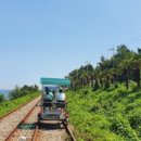 여름탐방(가족) 이미지