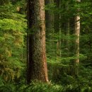 건강약수터 이미지