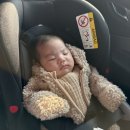 진아이텍 | [육아] 선천성 아기 신생아 스킨텍(부이개) 흉터없이 제거 수술, 비용, 보험 / 강남 지디에스 성형외과