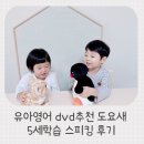 Hello Dog | 유아영어 dvd추천 도요새 5세학습 스피킹 후기