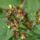 계절여행 이미지