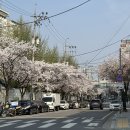 배스킨라빈스부개역남부점