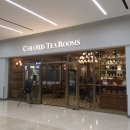 클로리스 이미지