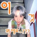온더브라이드 이미지