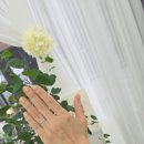 nailm(네일엠)뷰티샵 | 봄 느낌 가득 담은 고잔동네일, 엠뷰티네일샵 다녀온 후기