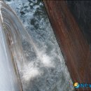 동해-단속-29 이미지