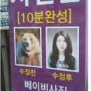 더헤븐스튜디오 이미지
