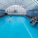 오금공원1(관리동) 화장실 | 충남 홍성 캠핑굄성 | 개별 화장실·온수 수영장·키즈캠핑장, 아이 동반 가족 캠핑 후기