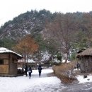 윌컴 이미지