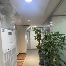 세무법인한얼 이미지