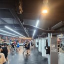 용인대SM복싱클럽 본관 네이버블로그