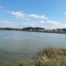 성호로8길 이미지