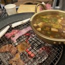 유명갈매기 이미지