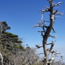 제500회차기념 제주도 한라산 이미지