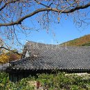 신원사 - 1052 | 신원사