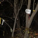 지천면사무소 이미지