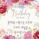 메세지 이미지