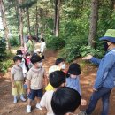 삼운사유치원 이미지